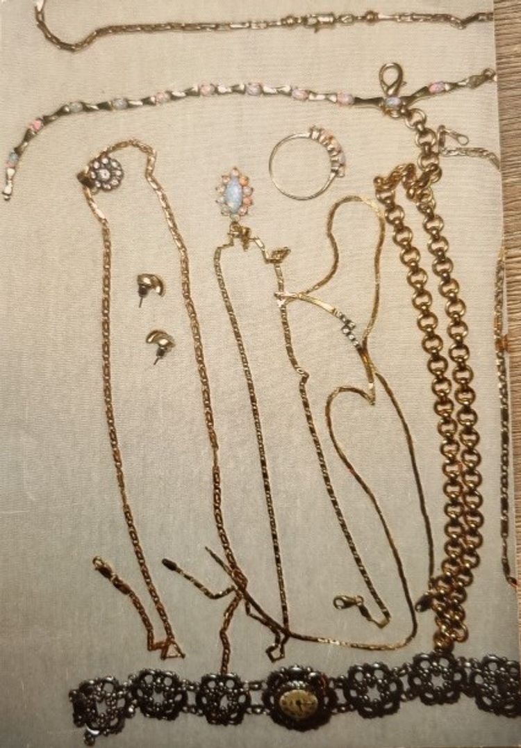 Alkmaar - Gezocht - Diefstal– Centrum – Alkmaar