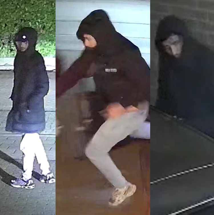 Didam, Zevenaar, Duiven - Auto-inbraken in Didam, Zevenaar en Duiven